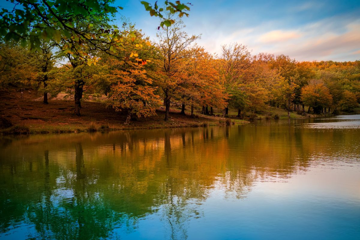 Foliage in sud Italia autunno 2024