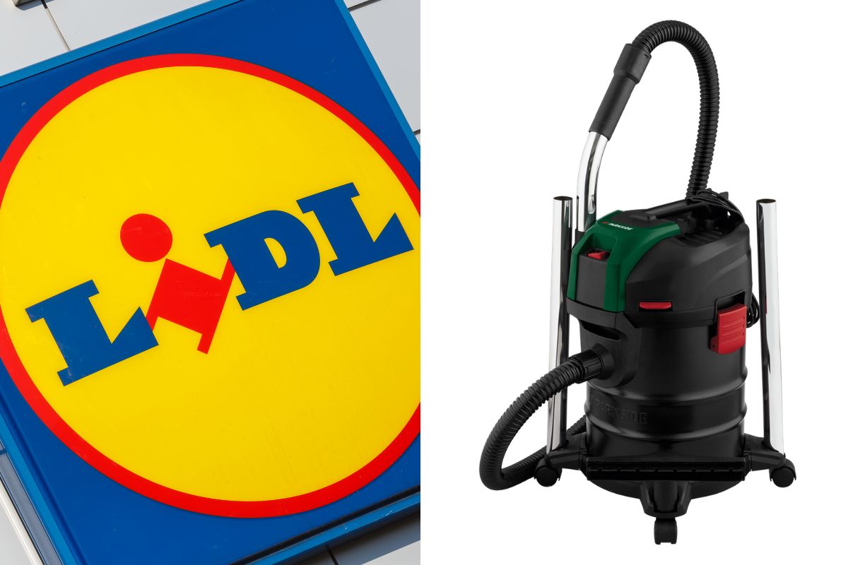 Lidl bidone aspiracenere da 20L