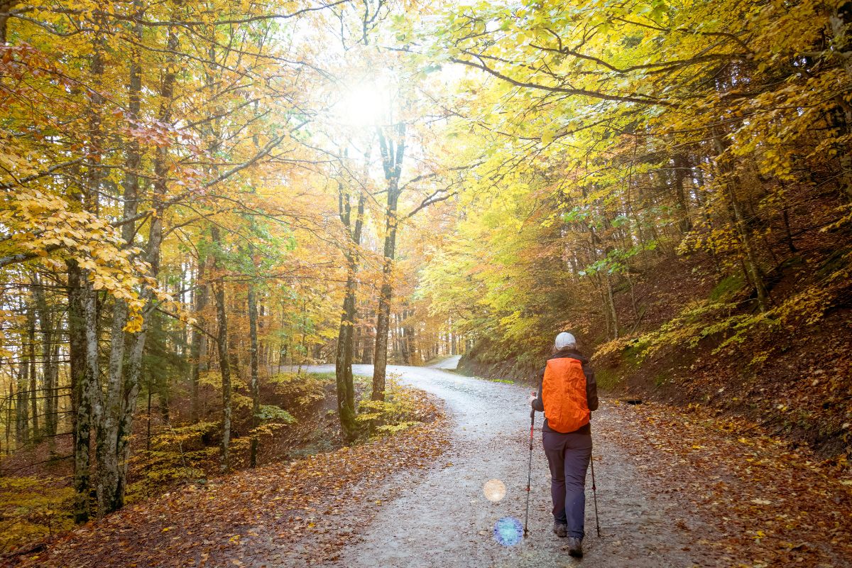 Foliage in nord Italia