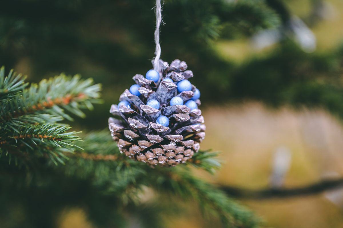 pigne per albero di natale